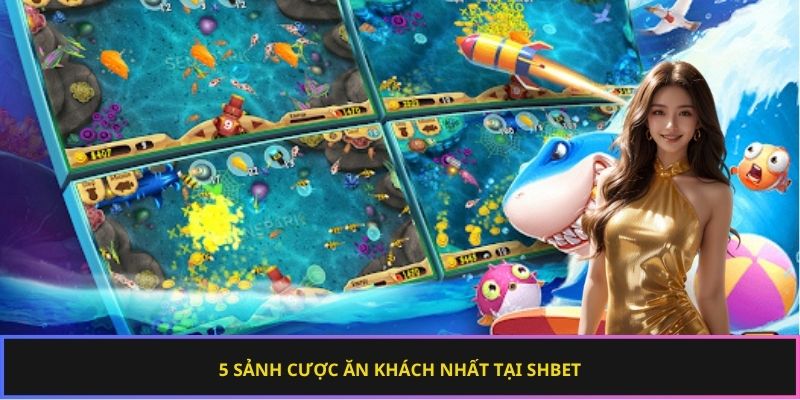 5 sảnh cược ăn khách nhất tại SHBET